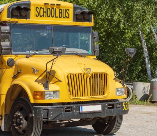 Contributo per il trasporto scolastico a Virle Virle trasporto scolastico