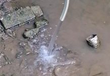 Caldo e siccità a Carmagnola: l’Agricoltura regge, canali in sofferenza siccità a carmagnola