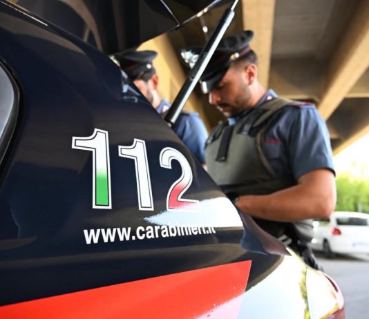 furti auto carmagnola
