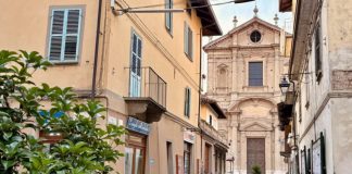 distretto commercio carmagnola