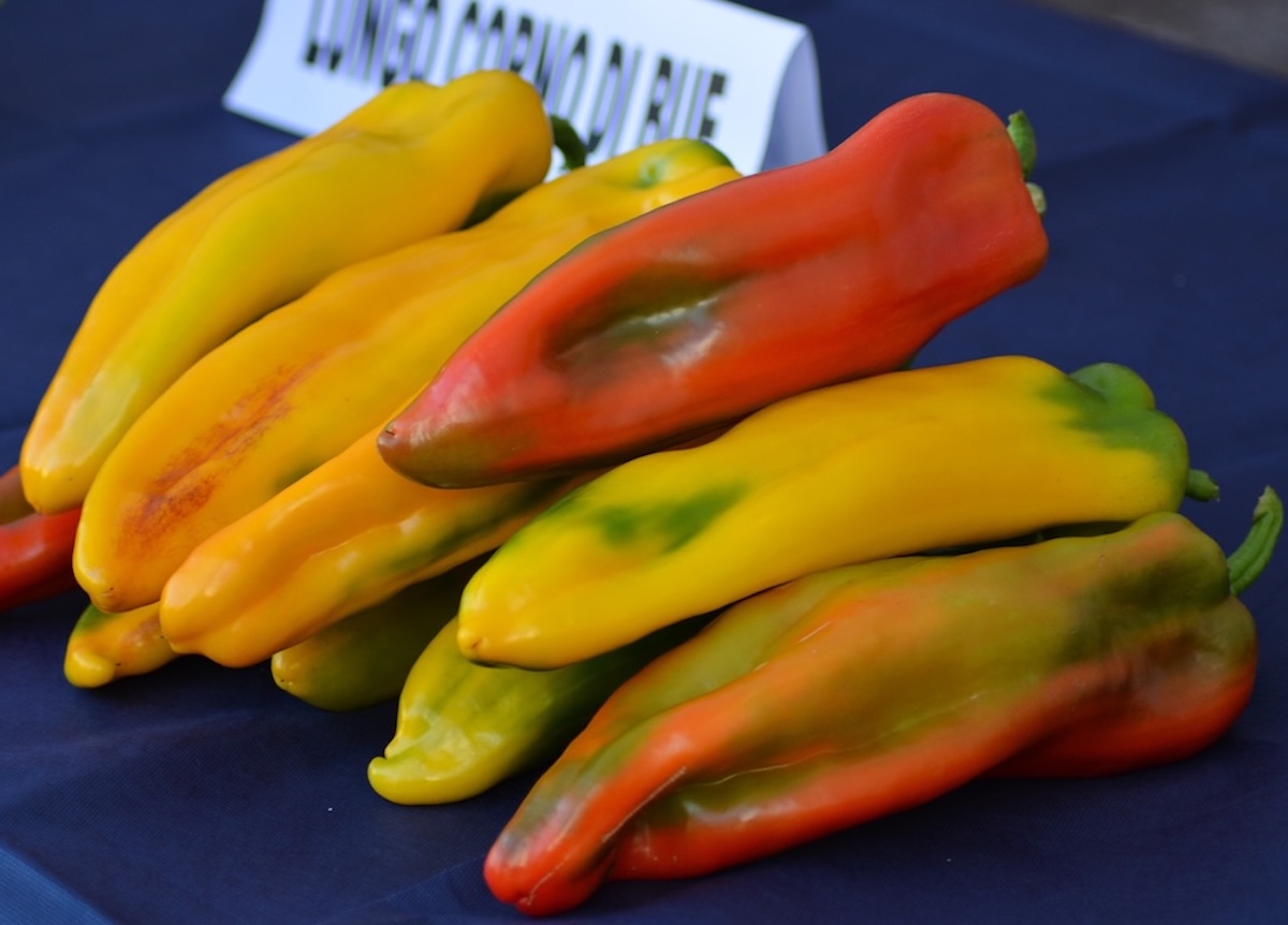 fiera del peperone lunedì 31