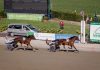 Vinovo: all’Ippodromo il 99° Derby Italiano del Trotto, per la prima volta in Piemonte derby del trotto vinovo