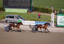 Vinovo: all’Ippodromo il 99° Derby Italiano del Trotto, per la prima volta in Piemonte derby del trotto vinovo