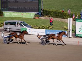Vinovo: all’Ippodromo il 99° Derby Italiano del Trotto, per la prima volta in Piemonte derby del trotto vinovo