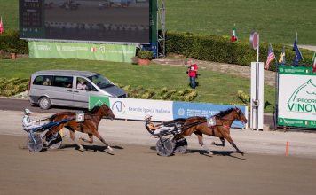 Vinovo: all’Ippodromo il 99° Derby Italiano del Trotto, per la prima volta in Piemonte derby del trotto vinovo