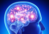 Ceresole malattie neurodegenerative d'Alba