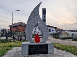 Avis Castagnole fondazione