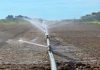 Biodiversità nei campi, la Regione finanzia cinque aziende del territorio biodiversità nei campi