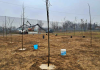 Carmagnola, rinaturalizzata l’area del Ceis: 770 metri quadrati di nuovo verde ceis carmagnola