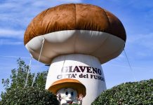 fungo di giaveno fiera programma 2026