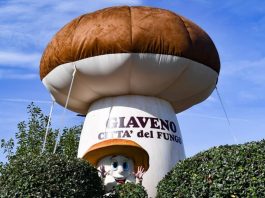 fungo di giaveno fiera programma 2026