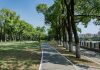 A Sommariva del Bosco si discute di verde urbano con Ripa Nemoris Sommariva Ripa verde urbano