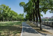 A Sommariva del Bosco si discute di verde urbano con Ripa Nemoris Sommariva Ripa verde urbano
