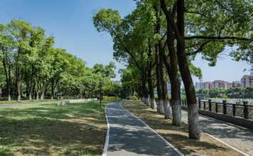 A Sommariva del Bosco si discute di verde urbano con Ripa Nemoris Sommariva Ripa verde urbano