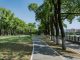 A Sommariva del Bosco si discute di verde urbano con Ripa Nemoris Sommariva Ripa verde urbano