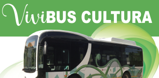 vivibus cultura
