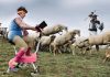 Nuova stagione teatrale al Cantoregi di Carignano stagione Cantoregi Carignano