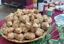 Fiera Regionale Ciapinabò