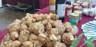 Fiera Regionale Ciapinabò