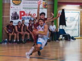 delfini basket carmagnola
