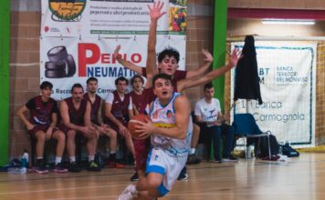 delfini basket carmagnola