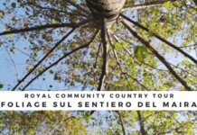 Weekend tra natura e misteri a Racconigi con l’Ufficio Turistico Racconigi Ufficio Turistico natura