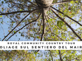Racconigi Ufficio Turistico natura