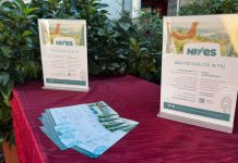 StraPiobesi associazione Nives
