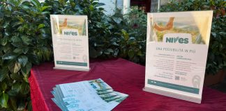 StraPiobesi associazione Nives