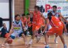Delfini Basket Carmagnola Asti
