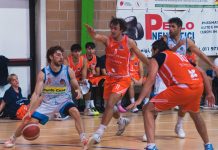 Delfini Basket Carmagnola Asti