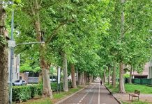 Verde pubblico e qualità della vita, il PD Carmagnola organizza un incontro Verde pubblico e qualità della vita