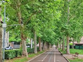 Verde pubblico e qualità della vita, il PD Carmagnola organizza un incontro Verde pubblico e qualità della vita