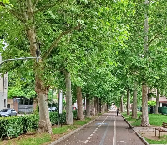 Verde pubblico e qualità della vita