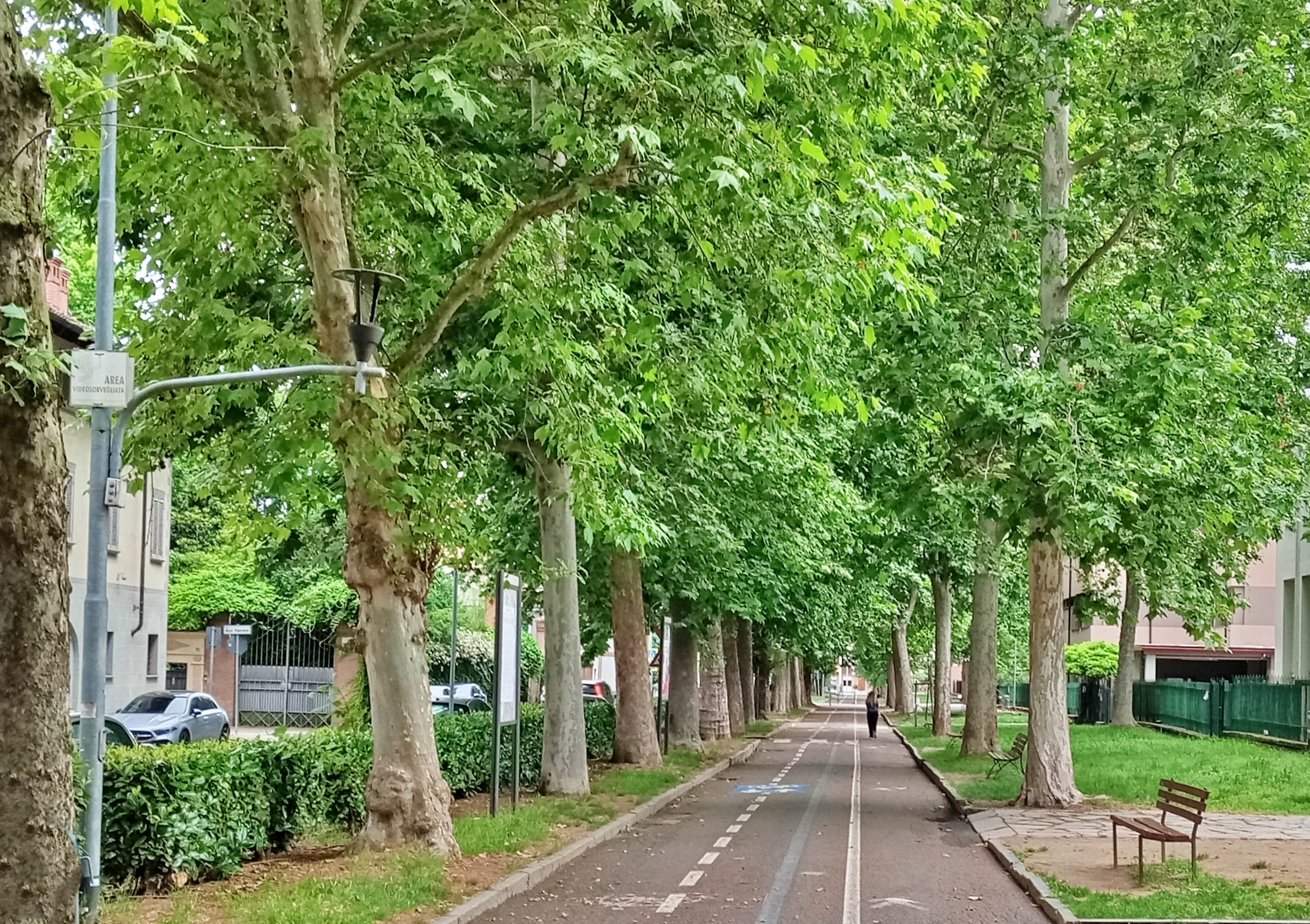 Verde pubblico e qualità della vita