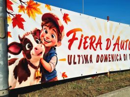 Castagnole Piemonte Fiera
