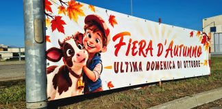 Castagnole Piemonte Fiera