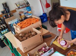 raccolta generi alimentari carmagnola