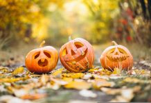 Halloween in biblioteca a Piobesi Torinese Piobesi Halloween biblioteca