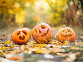 Piobesi Halloween biblioteca