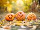 Halloween in biblioteca a Piobesi Torinese Piobesi Halloween biblioteca