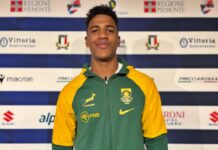 Rugby: Italia-Sudafrica torna a Torino, appuntamento il 7 novembre italia sudafrica rugby torino