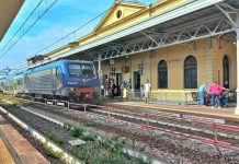 linea sfm4