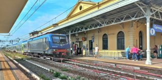 linea sfm4