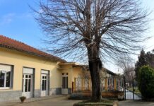 scuola infanzia avalle