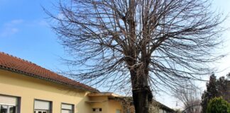 scuola infanzia avalle